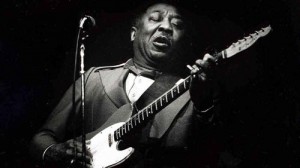 muddy-waters